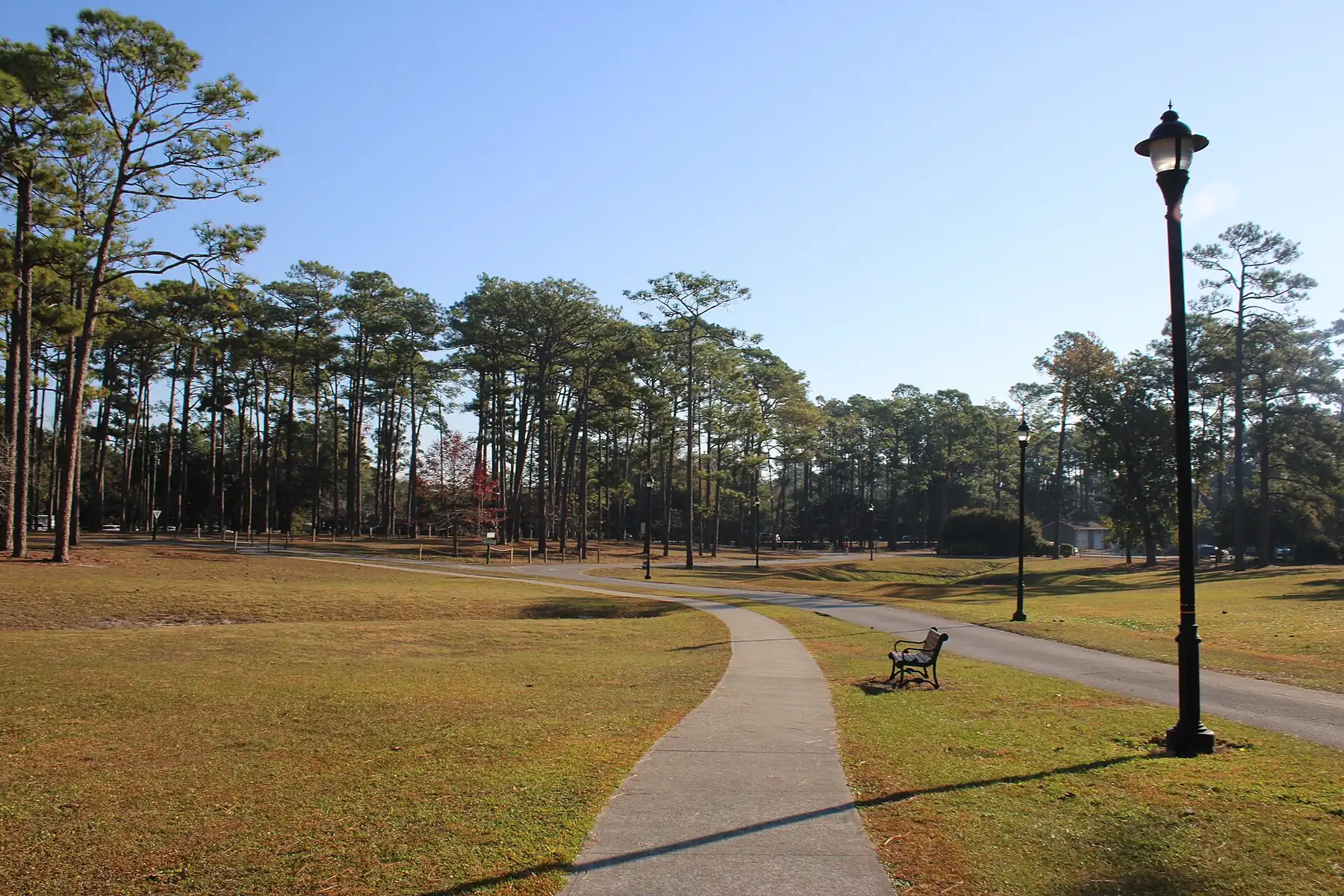 A paved walking path through the pines at Long Leaf Park, a New Hanover County park in Wilmington.