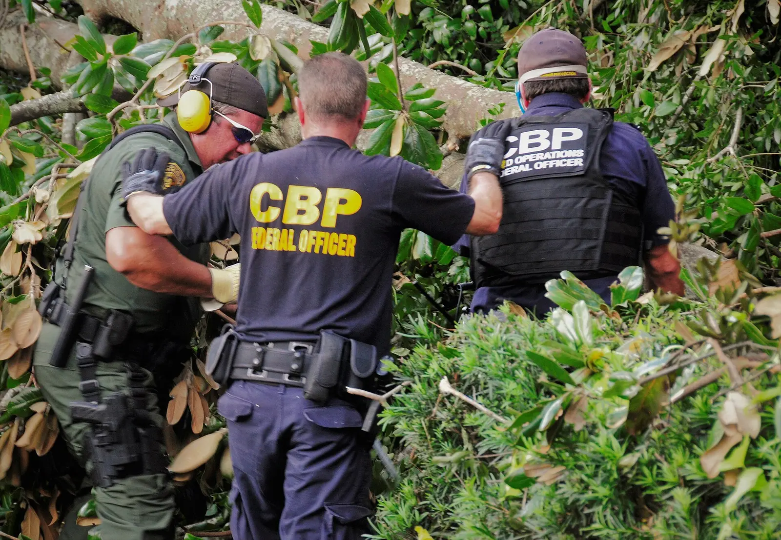 Federal officers clear a fallen tree from a Wilmington home after Hurricane Florence in September 2018